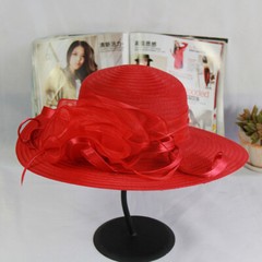 Women Kentucky Derby Church Hat Fascinator Organza Tea Party Wide Brim Sun Hat