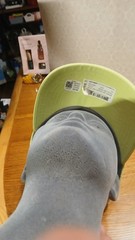 Adidas Womens Fit Influencer 3 Hat Neon Green
