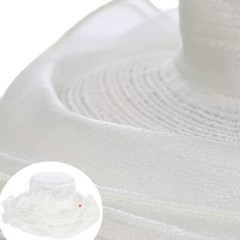 Womens Church Kentucky Derby Hat Wide Brim Tea Party Wedding Cap