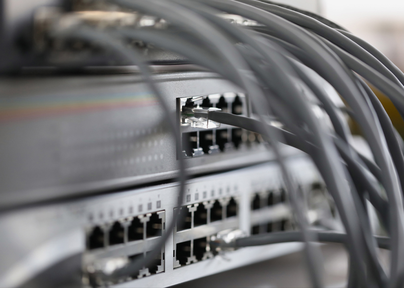 Close-up of patch cables plugged into a network switch